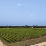 Tenuta Vigna Corallo - Dalia * Otranto