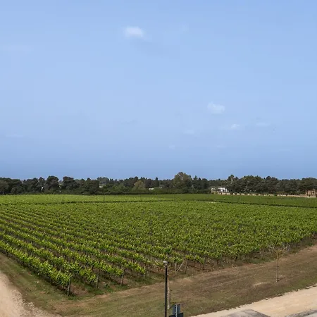 Tenuta Vigna Corallo - Dalia * Отранто