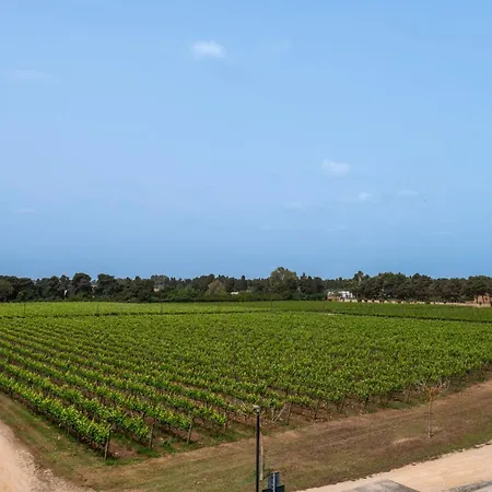 Tenuta Vigna Corallo - Dalia * Отранто