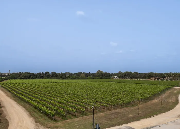 Tenuta Vigna Corallo - Dalia * Otranto